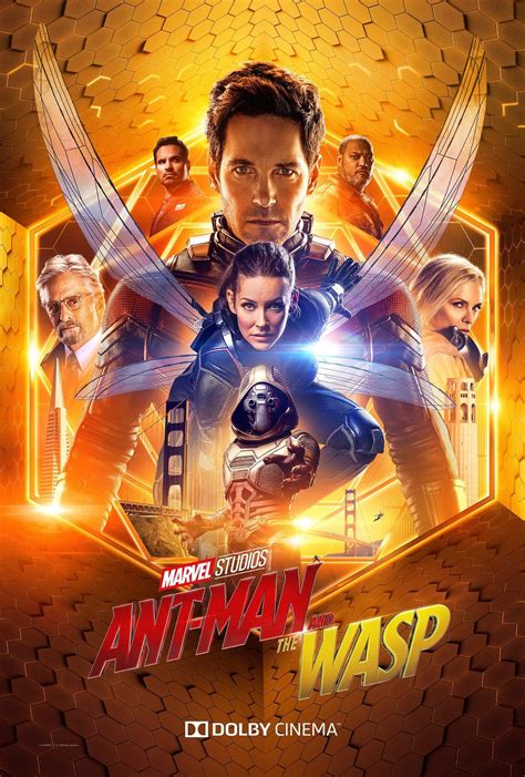gofilm ant-man and the wasp|Ant.